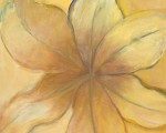 Yellow Lily, 30" x 24"